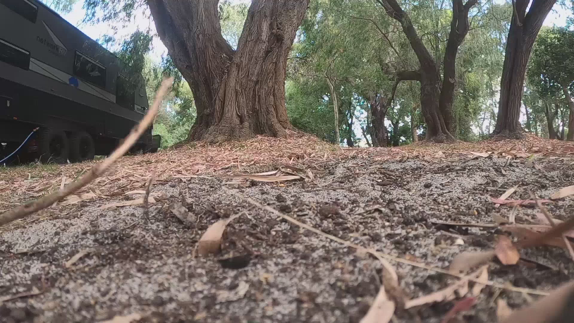 Charger la vidéo : 